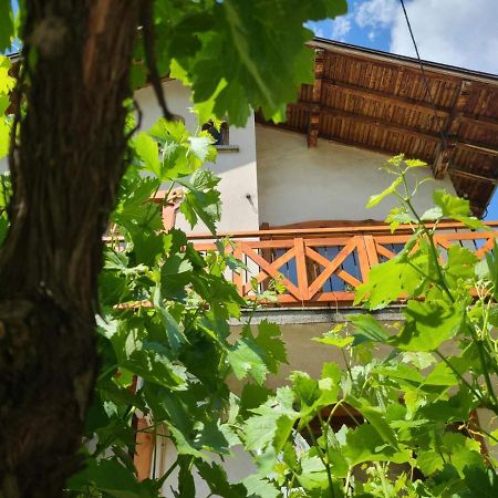 Вила 111 Sapareva Banya Extérieur photo