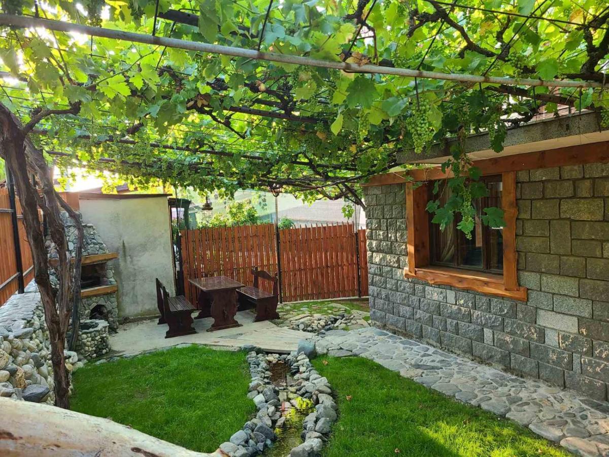 Вила 111 Sapareva Banya Extérieur photo