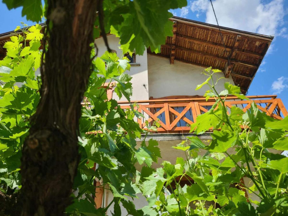 Вила 111 Sapareva Banya Extérieur photo
