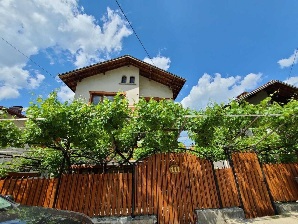 Вила 111 Sapareva Banya Extérieur photo